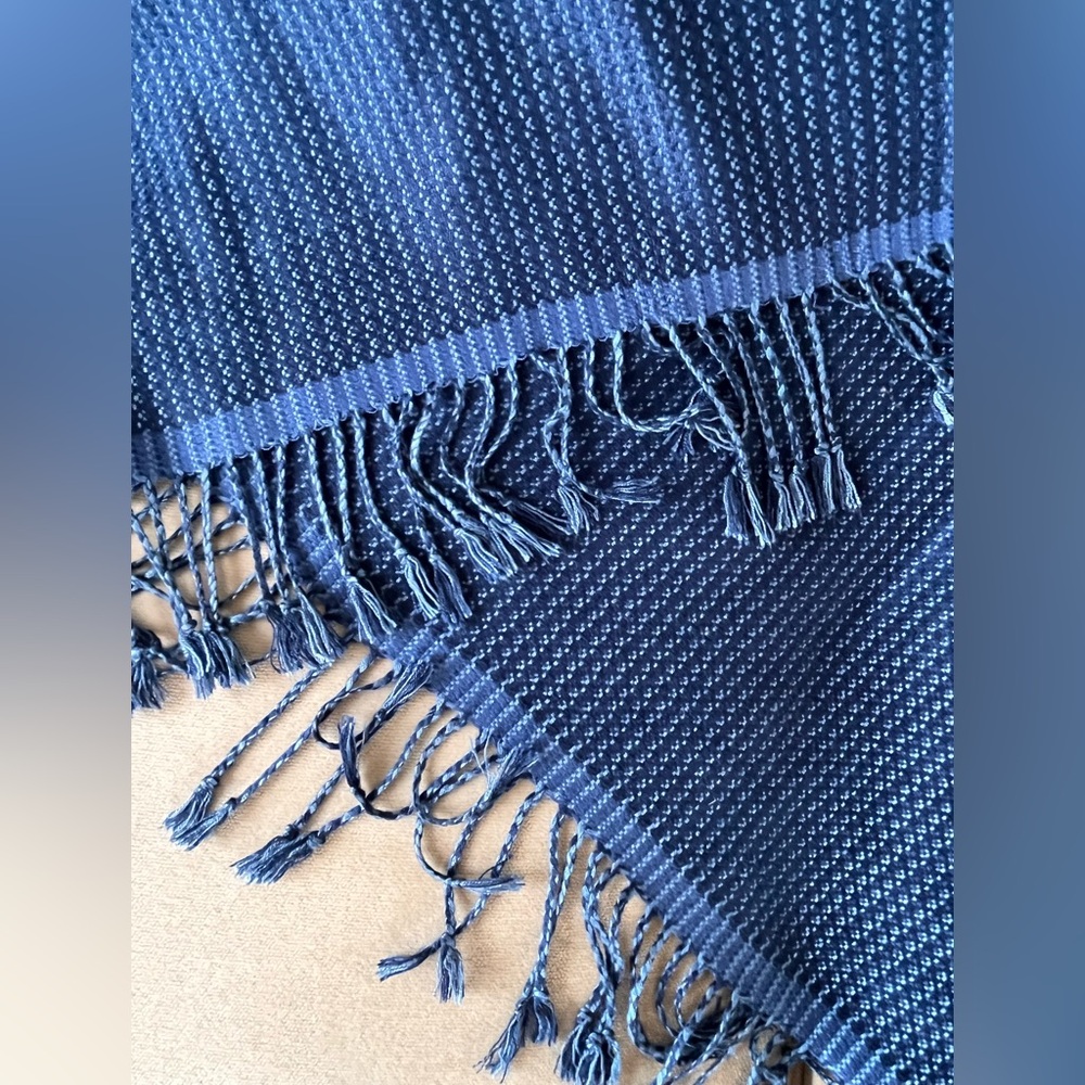 NWOT Blue Woven Silk Scarf